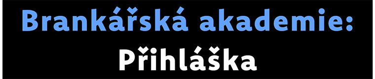 Brank��sk� akademie